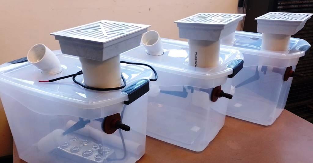 Capacitan a pobladores de Tecka, Gastre y Río Pico en producción familiar de hongos&nbsp;comestibles