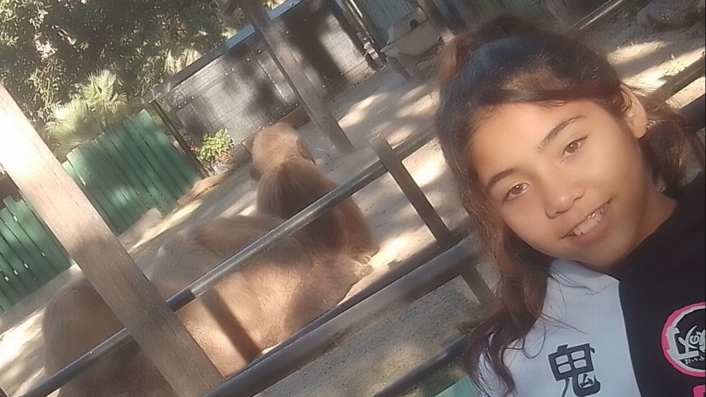Horror: una nena de 11 años se escapó de su casa y apareció muerta en un&nbsp;canal