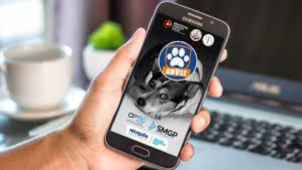Una app neuquina contra el maltrato animal sumó 2.800 denuncias en dos&nbsp;años