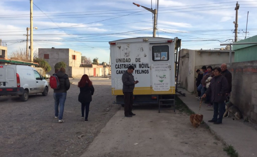 Más de 200 castraciones gratuitas se realizaron durante agosto en&nbsp;Trelew