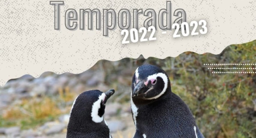 El 1 de octubre se lanza la Temporada de Pingüinos en Cabo Dos&nbsp;Bahías