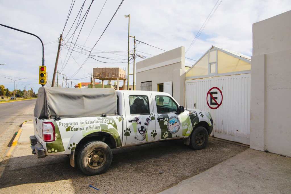 Convocan a vecinos de Rawson a patentar a sus&nbsp;mascotas
