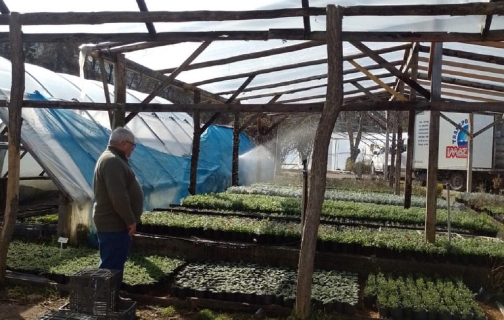Trabaja en Lago Puelo para la producción de&nbsp;forraje