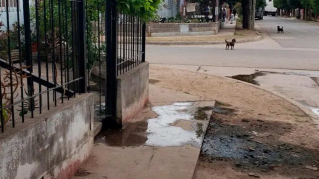 Horror: mató a puñaladas a su expareja en plena calle porque pensó que le iba a&nbsp;robar