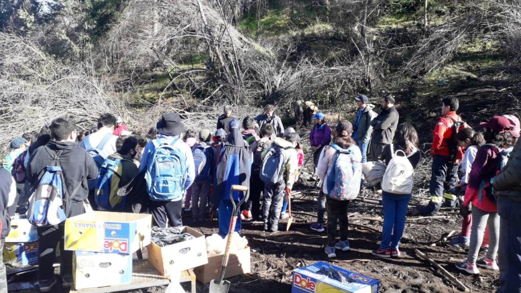 Programa de Restauración de Áreas Degradadas del Bosque&nbsp;Nativo
