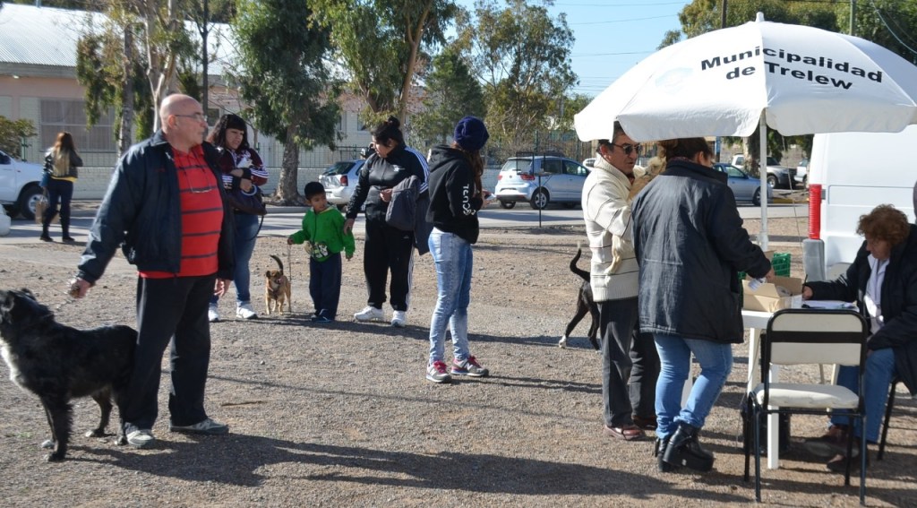 Más de 900 animales ya pasaron por el Puesto de Desparasitación de&nbsp;mascotas