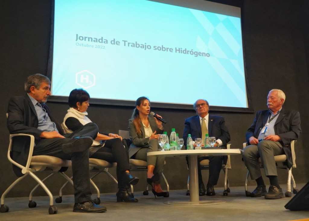 Chubut en la jornada de trabajo sobre hidrógeno en&nbsp;Y-TEC