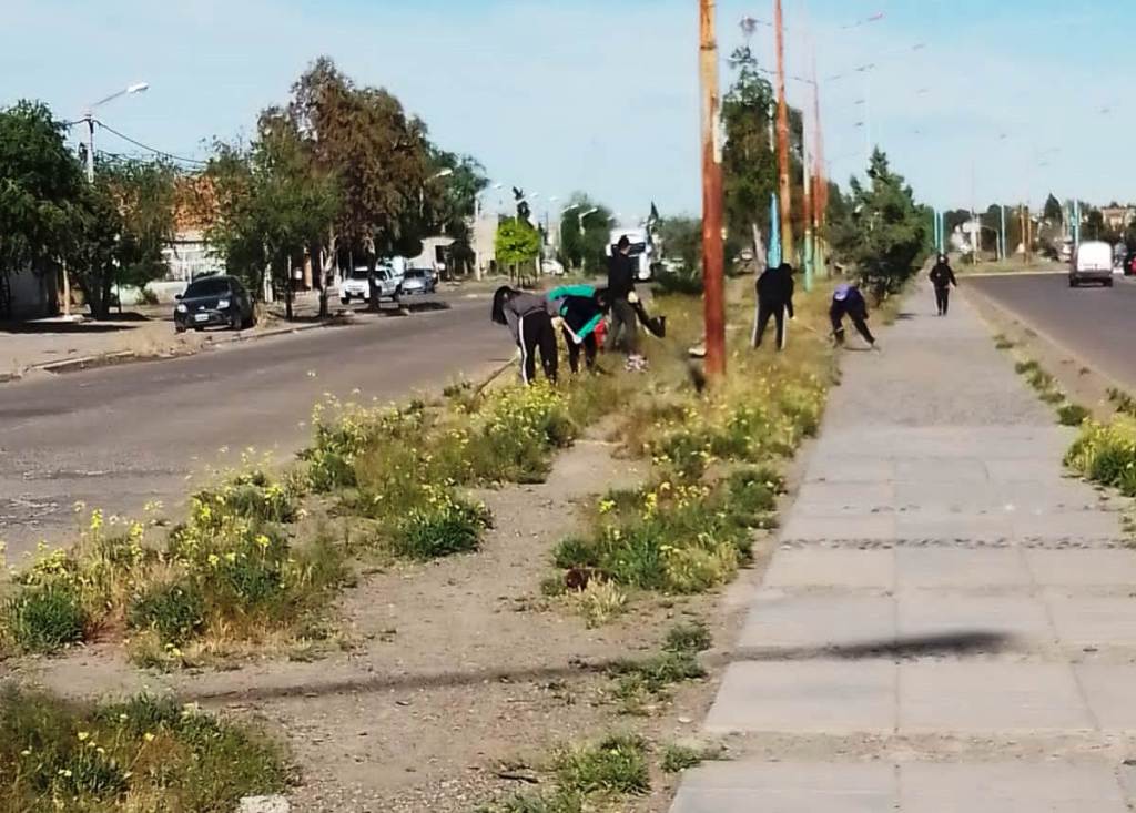 Cuidado y mantenimiento de espacios de uso público en&nbsp;Trelew