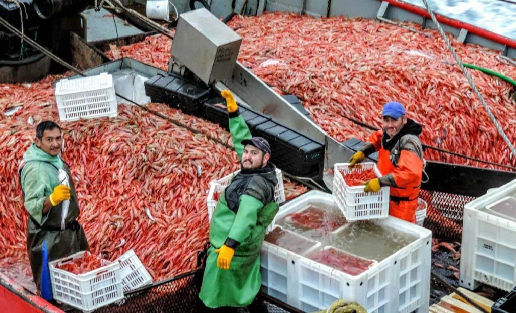 Chubut expone su producción pesquera en uno de los eventos más importantes de la industria a nivel&nbsp;mundial