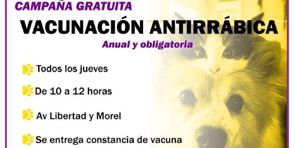 Campaña de vacunación antirrábica durante todos los&nbsp;jueves