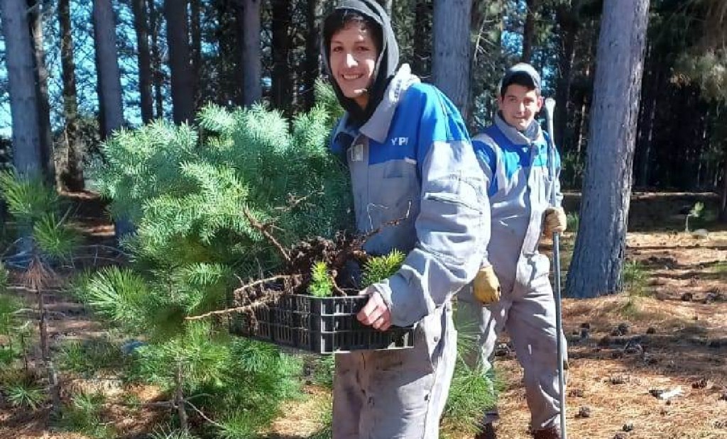 Plan de Reforestación en la Reserva Forestal de&nbsp;Corcovado