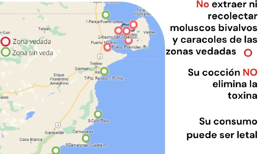 Continúa la veda por Marea Roja en los Golfos San José y&nbsp;Nuevo