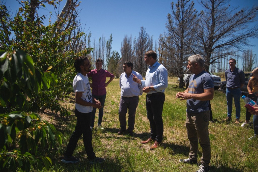 Biss recorrió chacra de cerezas reactivada en&nbsp;Rawson