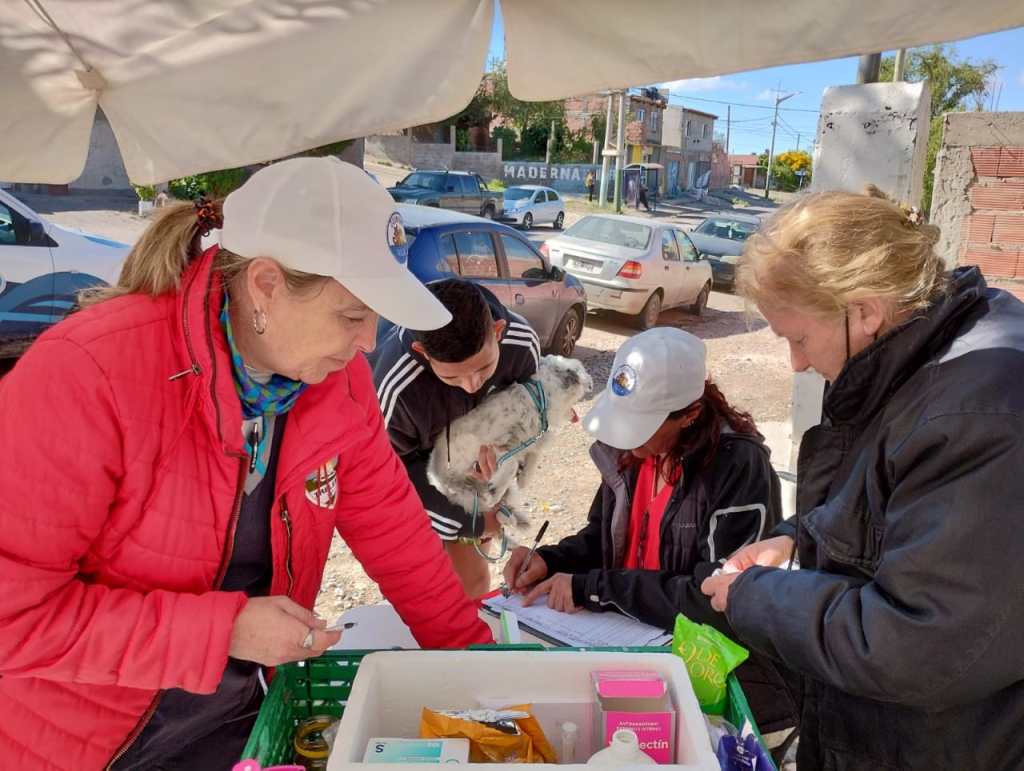 Última etapa de la campaña gratuita de desparasitación en&nbsp;Trelew