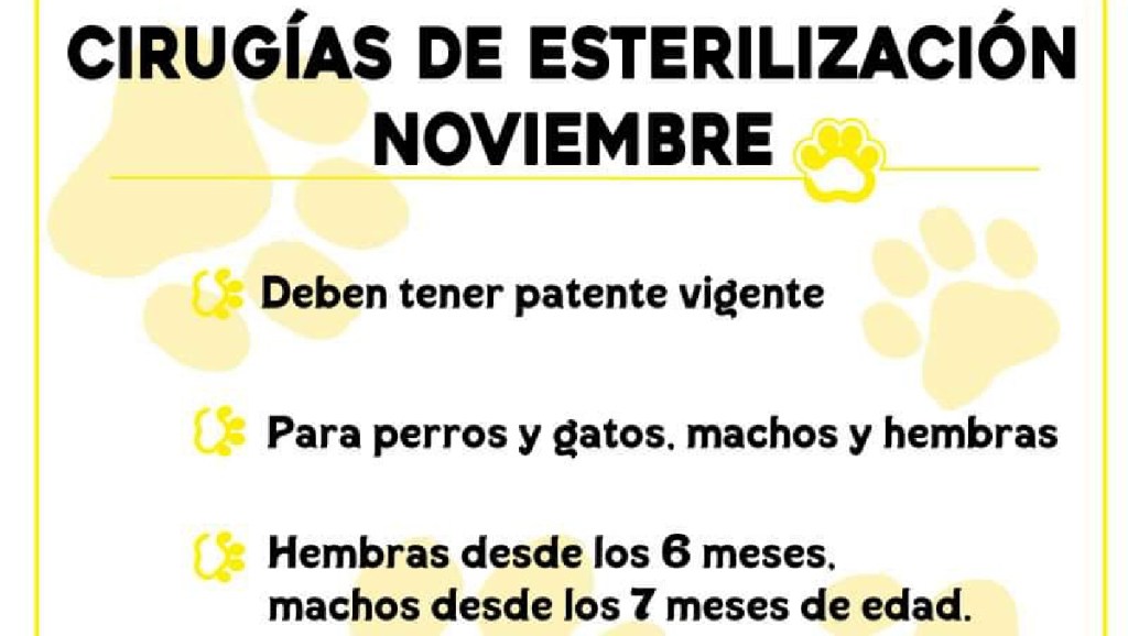 Rawson comenzó con los turnos para cirugías de esterilización en&nbsp;noviembre