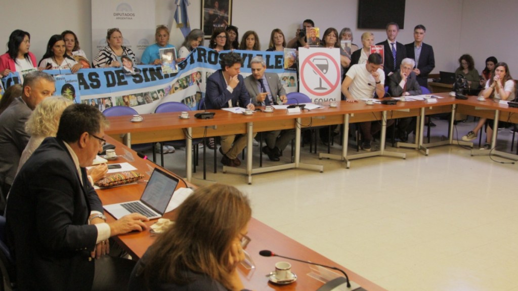 Alcohol Cero al volante irá por la media sanción en la Cámara de&nbsp;Diputados
