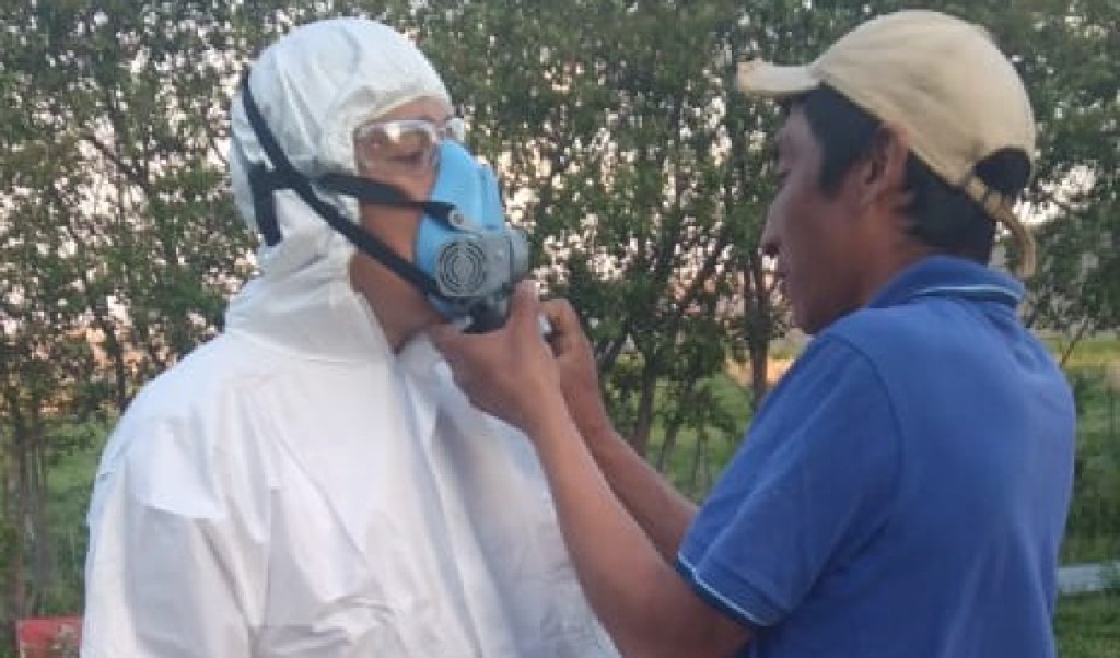 Cushamen: Se continúa con tareas de control de la plaga tucura&nbsp;sapo