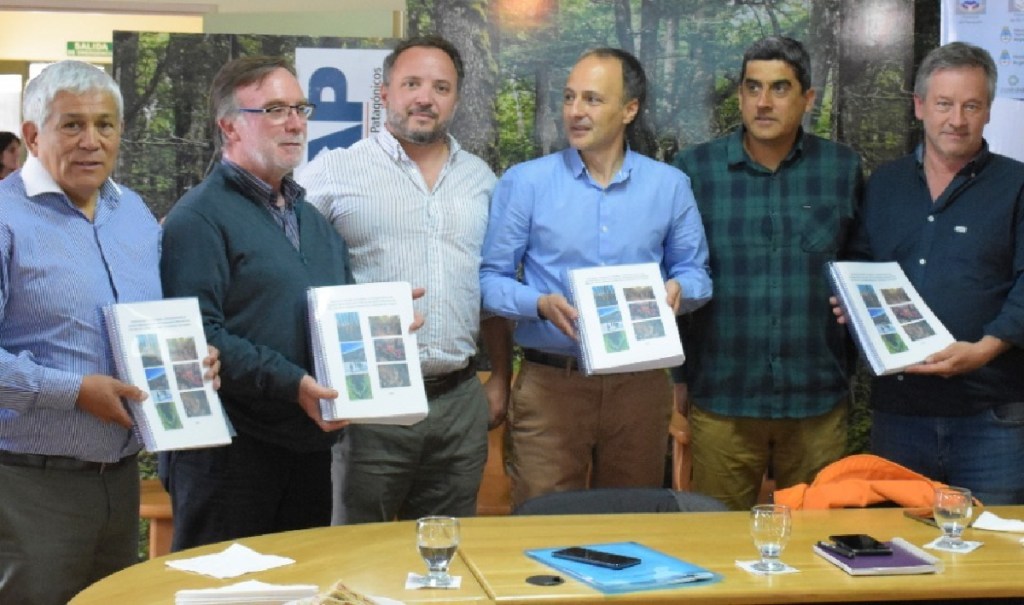 “Plan integral de Restauración de las grandes áreas afectadas por los incendios de 2021 en la Comarca&nbsp;Andina”