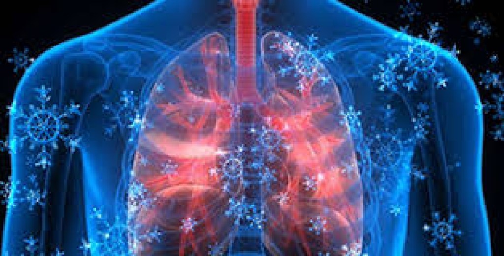 Estudian virosis respiratorias en épocas&nbsp;atípicas