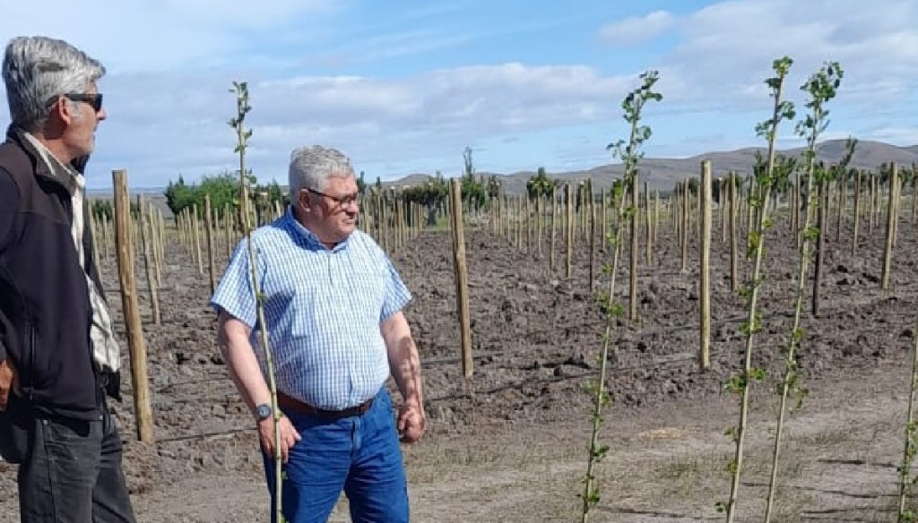 Ensayo para potenciar los viñedos más australes del&nbsp;mundo