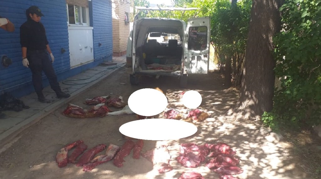 Secuestran Guanacos faenados en la&nbsp;ruta