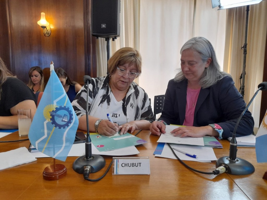 Chubut en la 45º sesión del Consejo Federal de Niñez, Adolescencia y&nbsp;Familia
