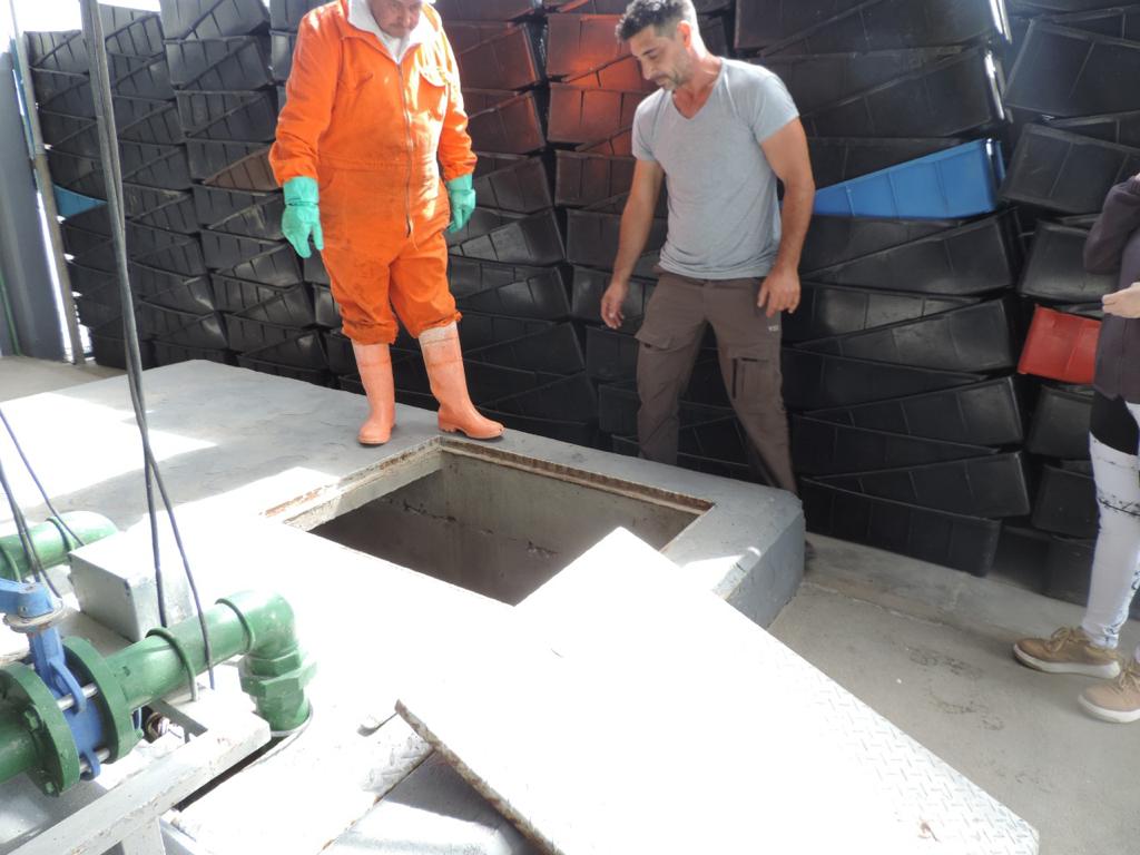 Se realizó inspección en una empresa pesquera de&nbsp;Rawson