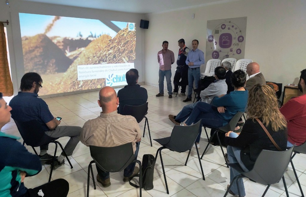 Se presentó en Cordillera el proyecto para generar energía a partir de desechos&nbsp;forestales