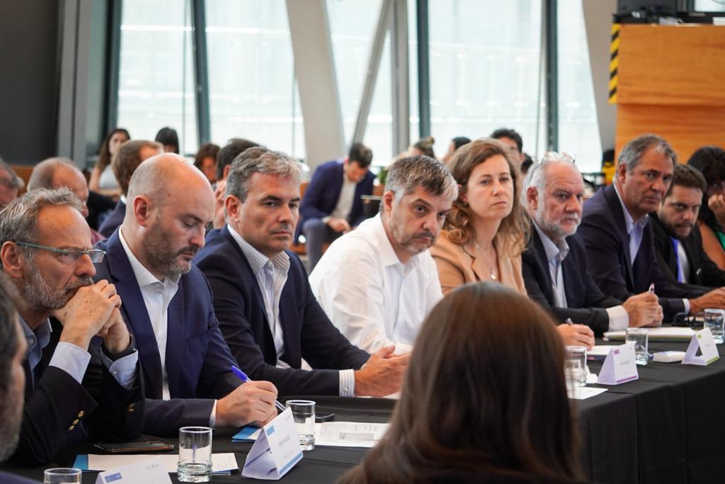 Chubut en una nueva reunión plenaria del Consejo Federal de&nbsp;Energía
