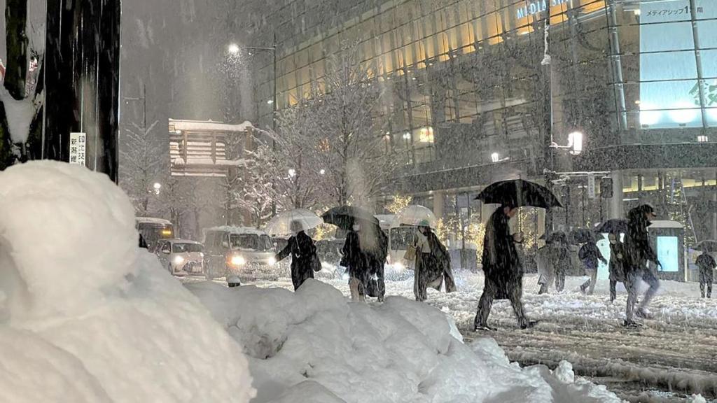 Ocho muertos en Japón por fuertes&nbsp;nevadas