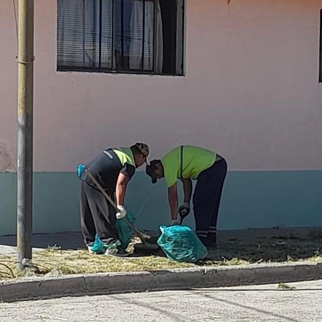 Trabajos de limpieza y mantenimiento&nbsp;municipal