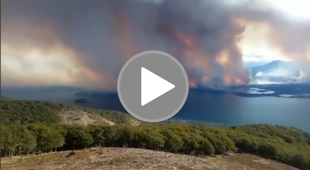 El incendio en Tierra del Fuego quemó 9.000&nbsp;hectáreas