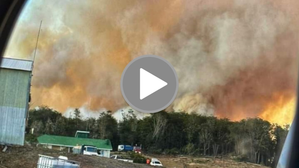 Incendio arrasa Tierra del Fuego con más de 9 mil hectáreas&nbsp;quemadas