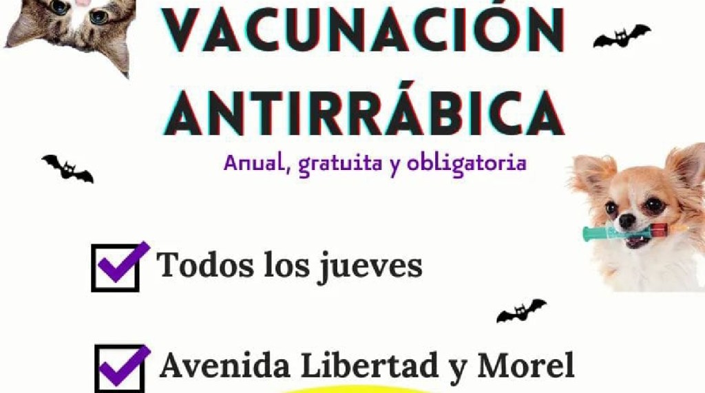 Continúa la campaña Municipal gratuita de vacunación&nbsp;antirrábica