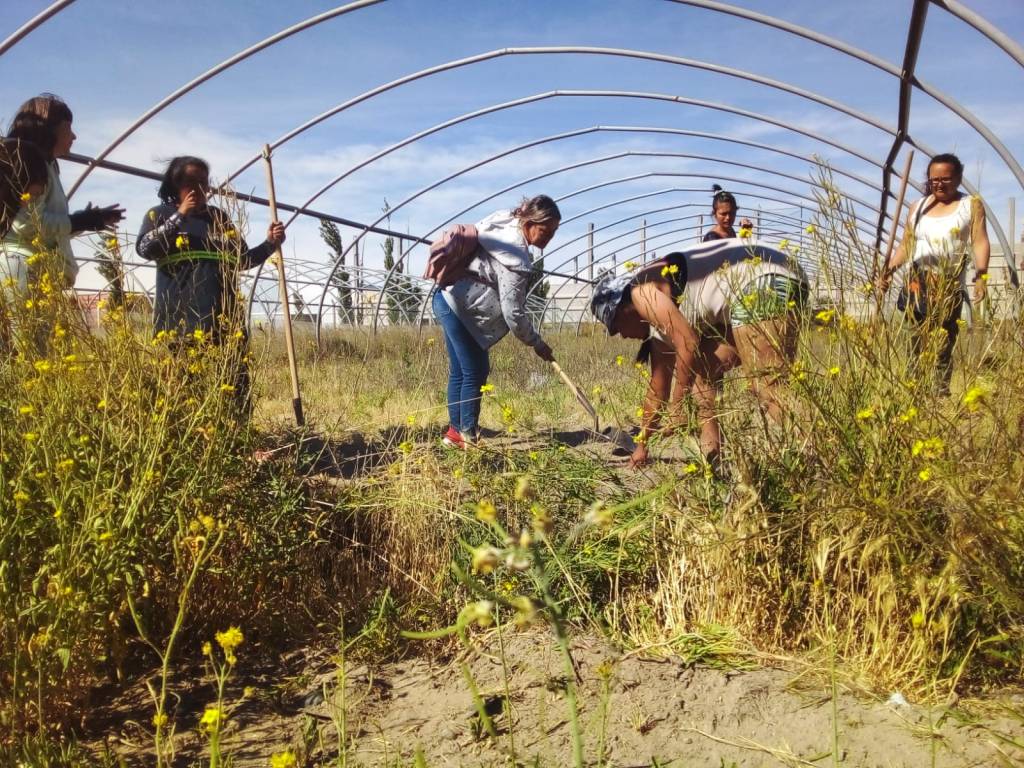 Finalizó la capacitación de Huerta Agroecológica en&nbsp;Rawson