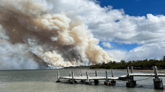 Se reactivó el incendio forestal en Tierra del&nbsp;Fuego
