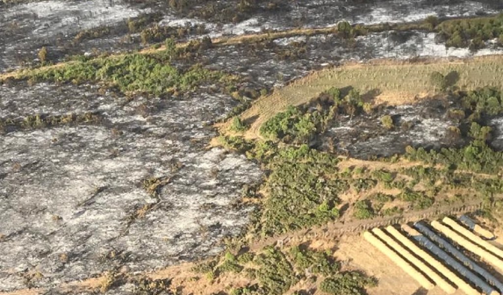 No se registran incendios forestales&nbsp;activos