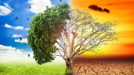 Presentaron un plan para mitigar los efectos del cambio&nbsp;climático