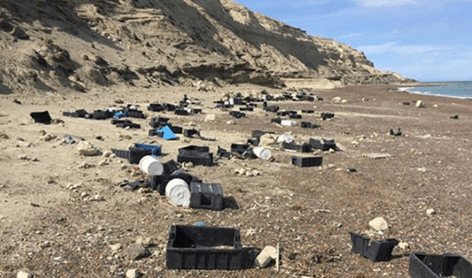 Continúa la limpieza de residuos en playas de Península&nbsp;Valdés
