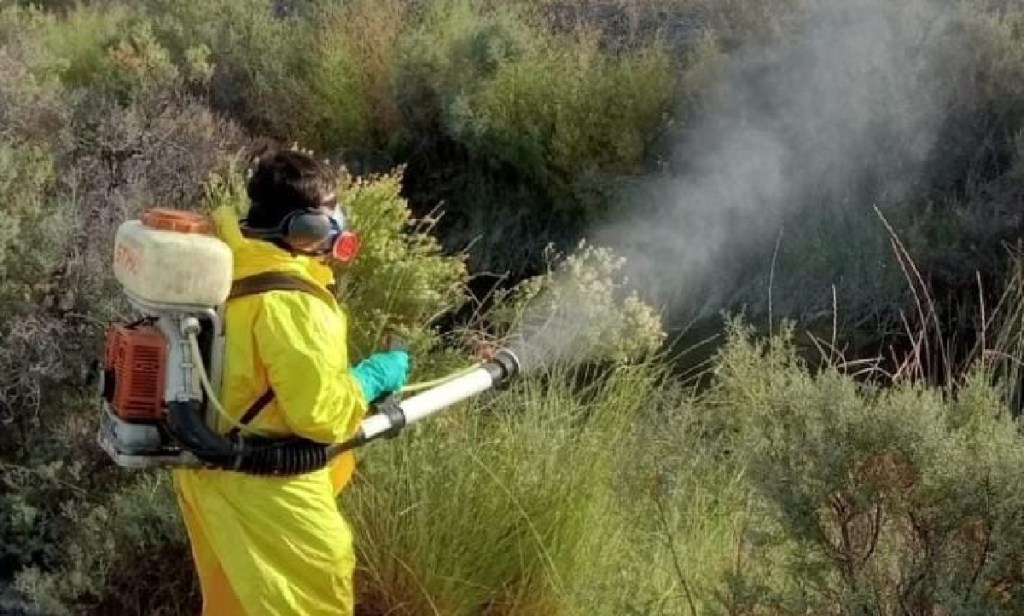 Trelew continúa con el plan de&nbsp;fumigación