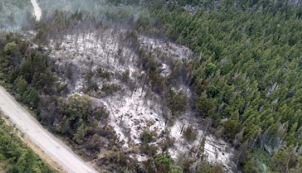 Operativo para controlar incendio en Los&nbsp;Cipreses