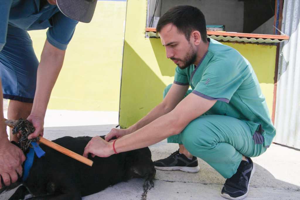 Campaña de vacunación antirrábica para mascotas en Playa Unión 