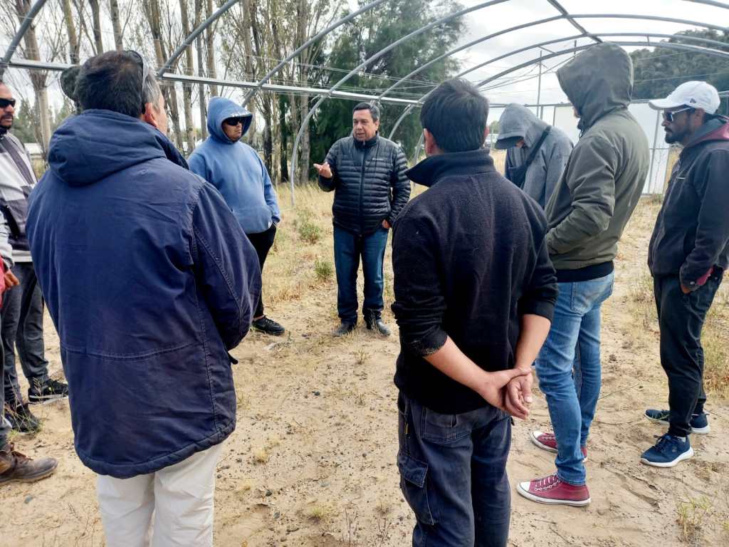 Avanza el desarrollo y fortalecimiento del cáñamo, el cannabis medicinal y productos derivados en&nbsp;Rawson