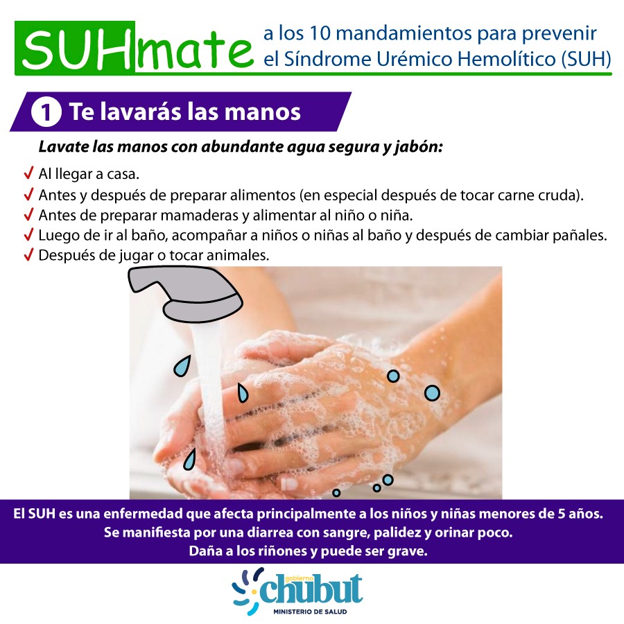 ¿Cómo prevenir el Síndrome Urémico&nbsp;Hemolítico?