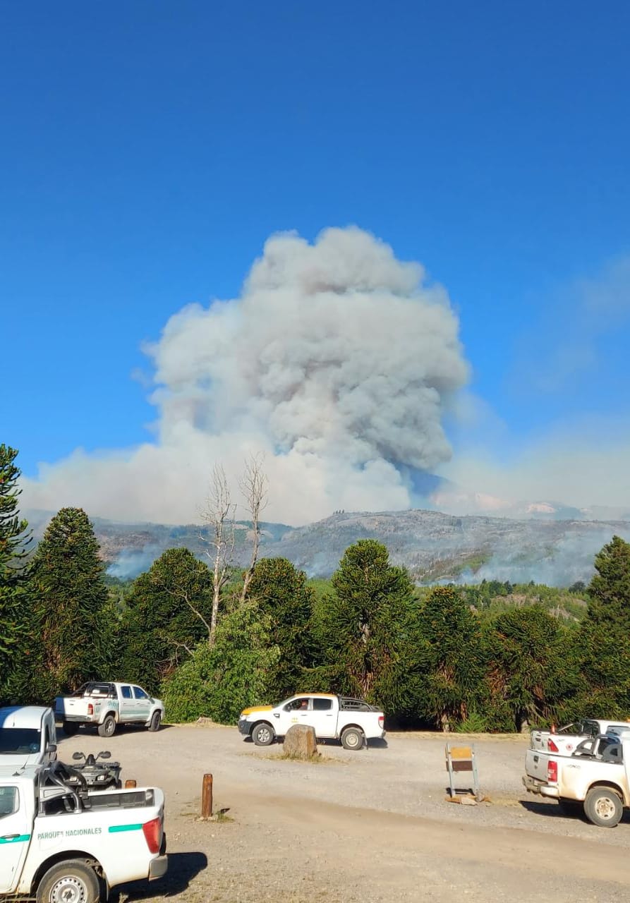 Continúa el intenso despliegue de brigadistas y medios aéreos para combatir el incendio en cercanías del Parque “Los&nbsp;Alerces”