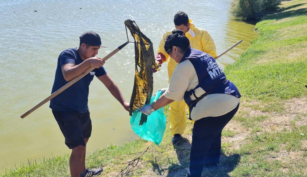Jornada de limpieza en la Laguna Cacique&nbsp;Chiquichano