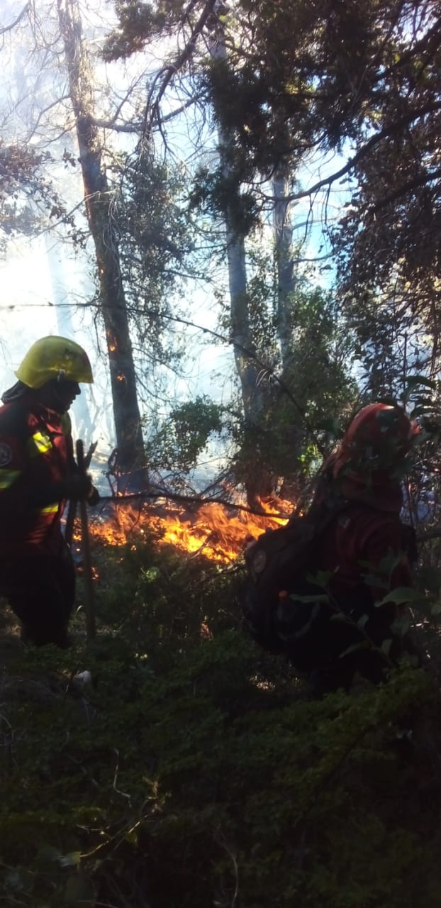 Brigadistas trabajan para controlar incendio en Lago&nbsp;Cholila