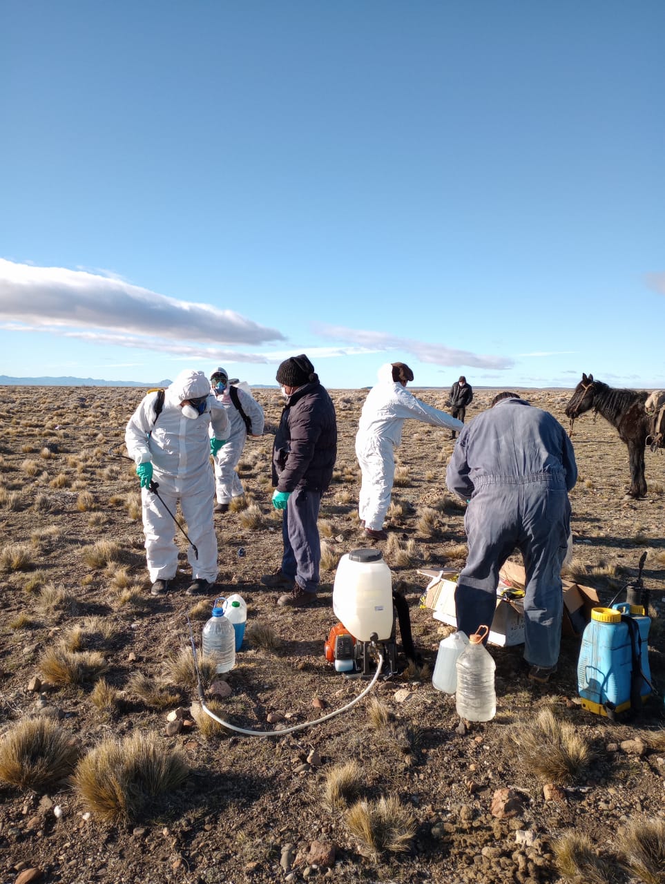 El Gobierno convoca a productores afectados por plaga tucura a presentar la declaración&nbsp;jurada