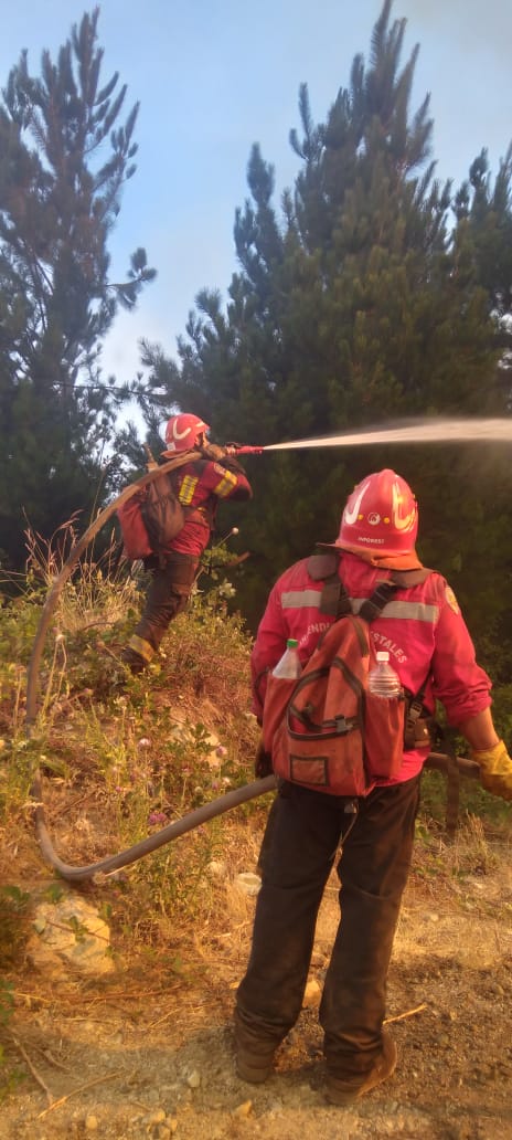 Ascendieron a brigadistas del Servicio Provincial de Manejo del&nbsp;Fuego