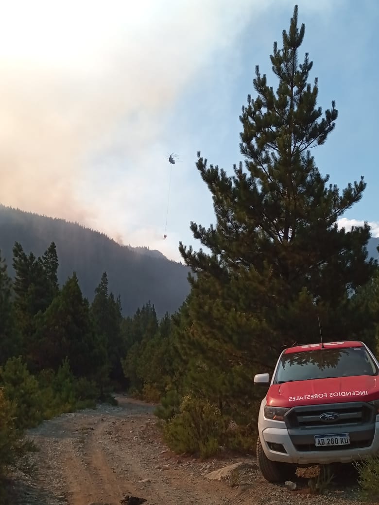 Brigadistas trabajan para controlar incendio en El&nbsp;Pedregoso